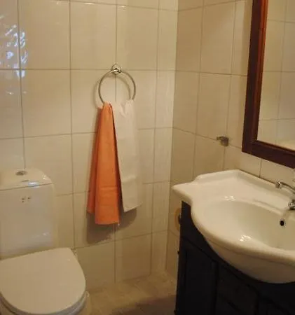 Sininen Talo Apartment