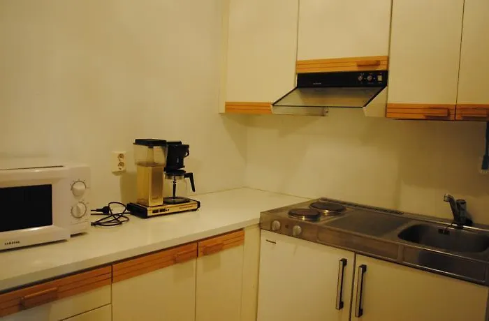 Sininen Talo 公寓 *